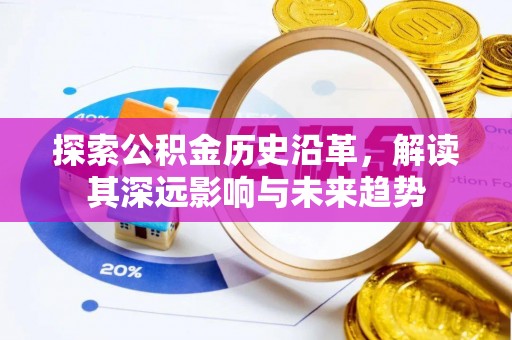 盐湖探索公积金历史沿革，解读其深远影响与未来趋势