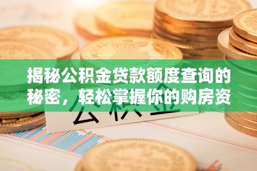 盐湖揭秘公积金贷款额度查询的秘密，轻松掌握你的购房资金
