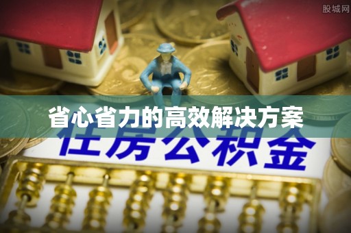 盐湖省心省力的高效解决方案