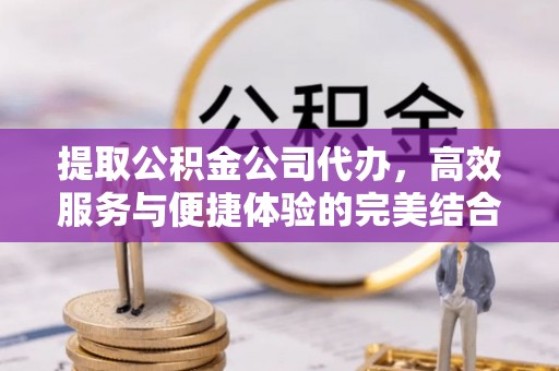 盐湖提取公积金公司代办，高效服务与便捷体验的完美结合