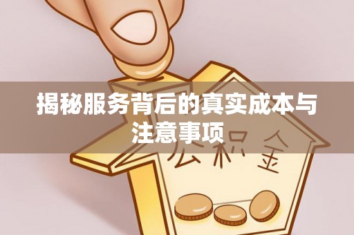 盐湖揭秘服务背后的真实成本与注意事项