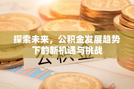 盐湖探索未来，公积金发展趋势下的新机遇与挑战