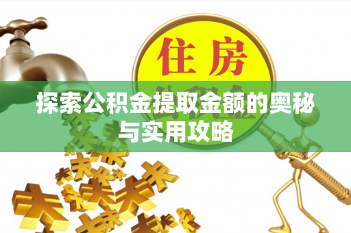 盐湖探索公积金提取金额的奥秘与实用攻略