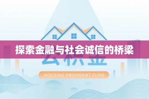 盐湖探索金融与社会诚信的桥梁