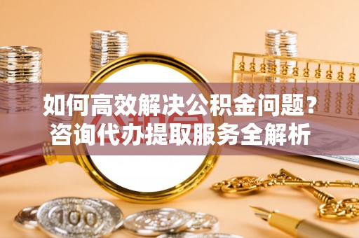 盐湖如何高效解决公积金问题？咨询代办提取服务全解析