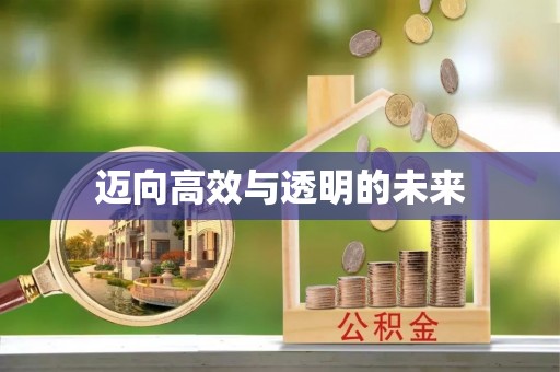 盐湖迈向高效与透明的未来