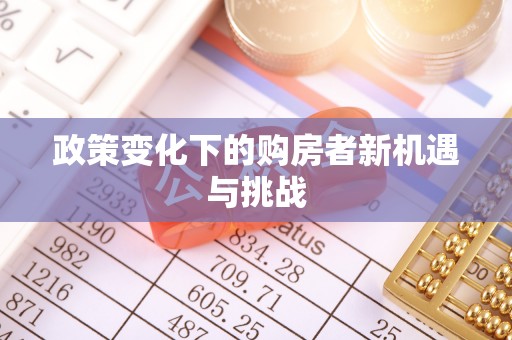盐湖政策变化下的购房者新机遇与挑战