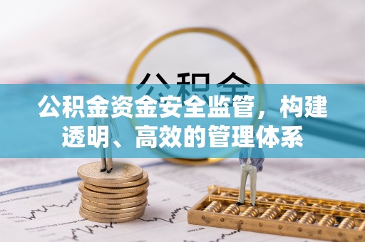 盐湖公积金资金安全监管，构建透明、高效的管理体系