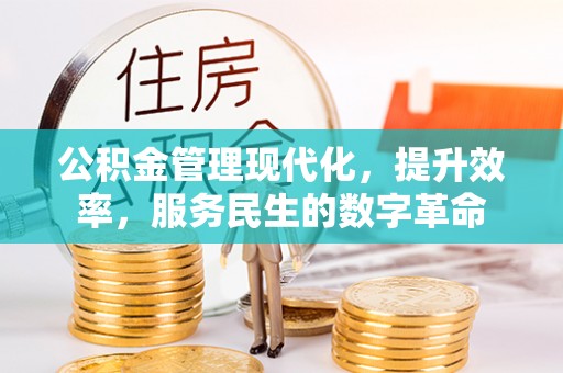 盐湖公积金管理现代化，提升效率，服务民生的数字革命