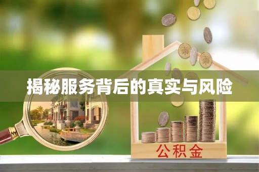 盐湖揭秘服务背后的真实与风险