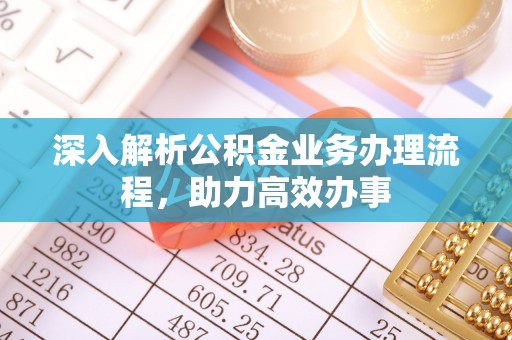 盐湖深入解析公积金业务办理流程，助力高效办事