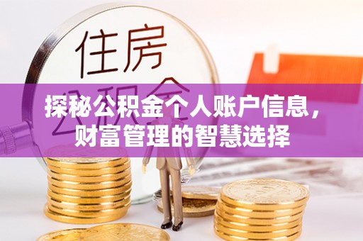 盐湖探秘公积金个人账户信息，财富管理的智慧选择