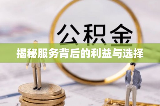 盐湖揭秘服务背后的利益与选择