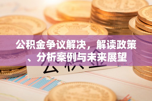 盐湖公积金争议解决，解读政策、分析案例与未来展望