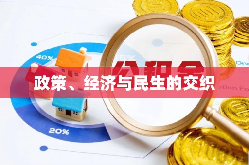 盐湖政策、经济与民生的交织
