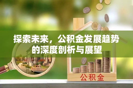 盐湖探索未来，公积金发展趋势的深度剖析与展望