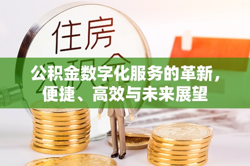 盐湖公积金数字化服务的革新，便捷、高效与未来展望