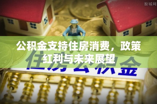 盐湖公积金支持住房消费，政策红利与未来展望