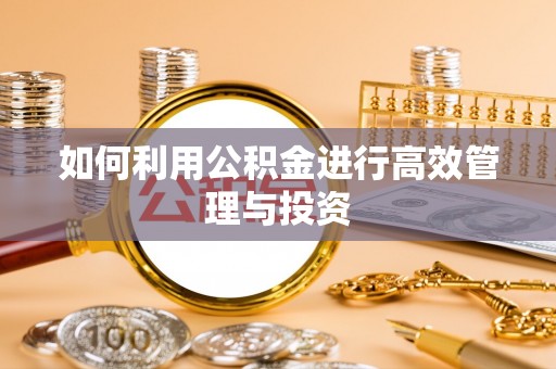 盐湖如何利用公积金进行高效管理与投资