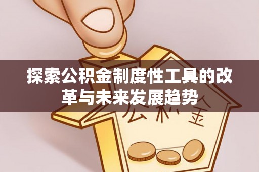 盐湖探索公积金制度性工具的改革与未来发展趋势