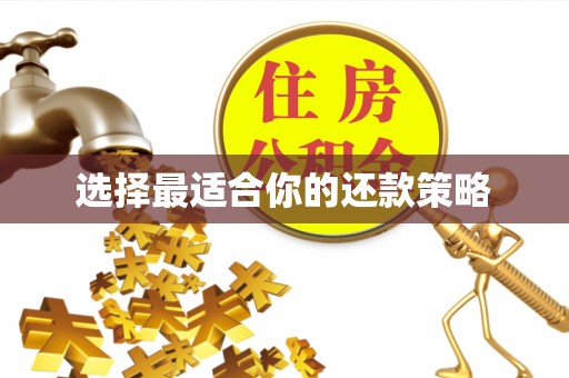 盐湖选择最适合你的还款策略