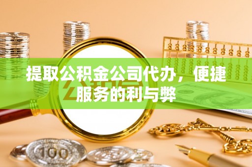 盐湖提取公积金公司代办，便捷服务的利与弊