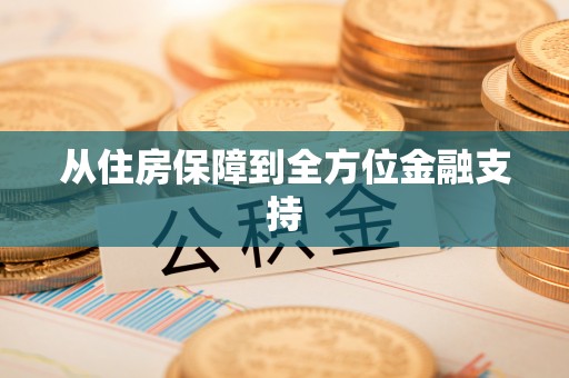 盐湖从住房保障到全方位金融支持