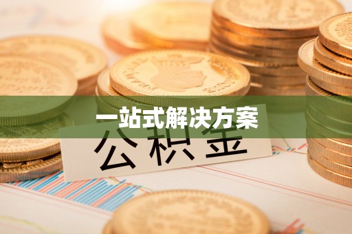 盐湖一站式解决方案