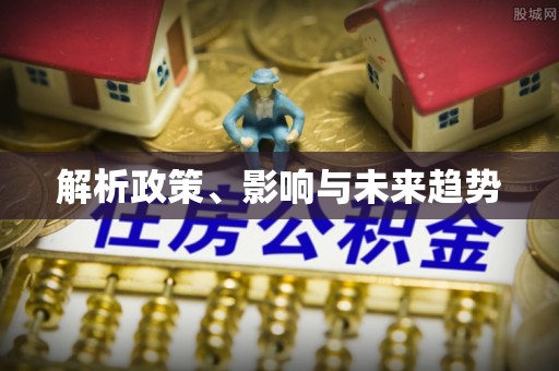 盐湖解析政策、影响与未来趋势