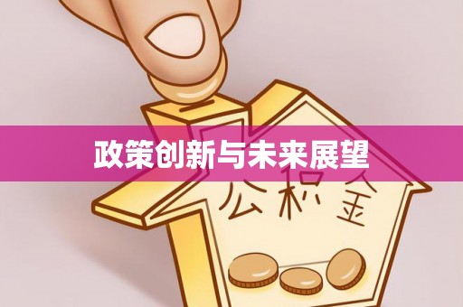 盐湖政策创新与未来展望