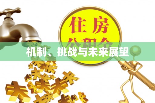 盐湖机制、挑战与未来展望